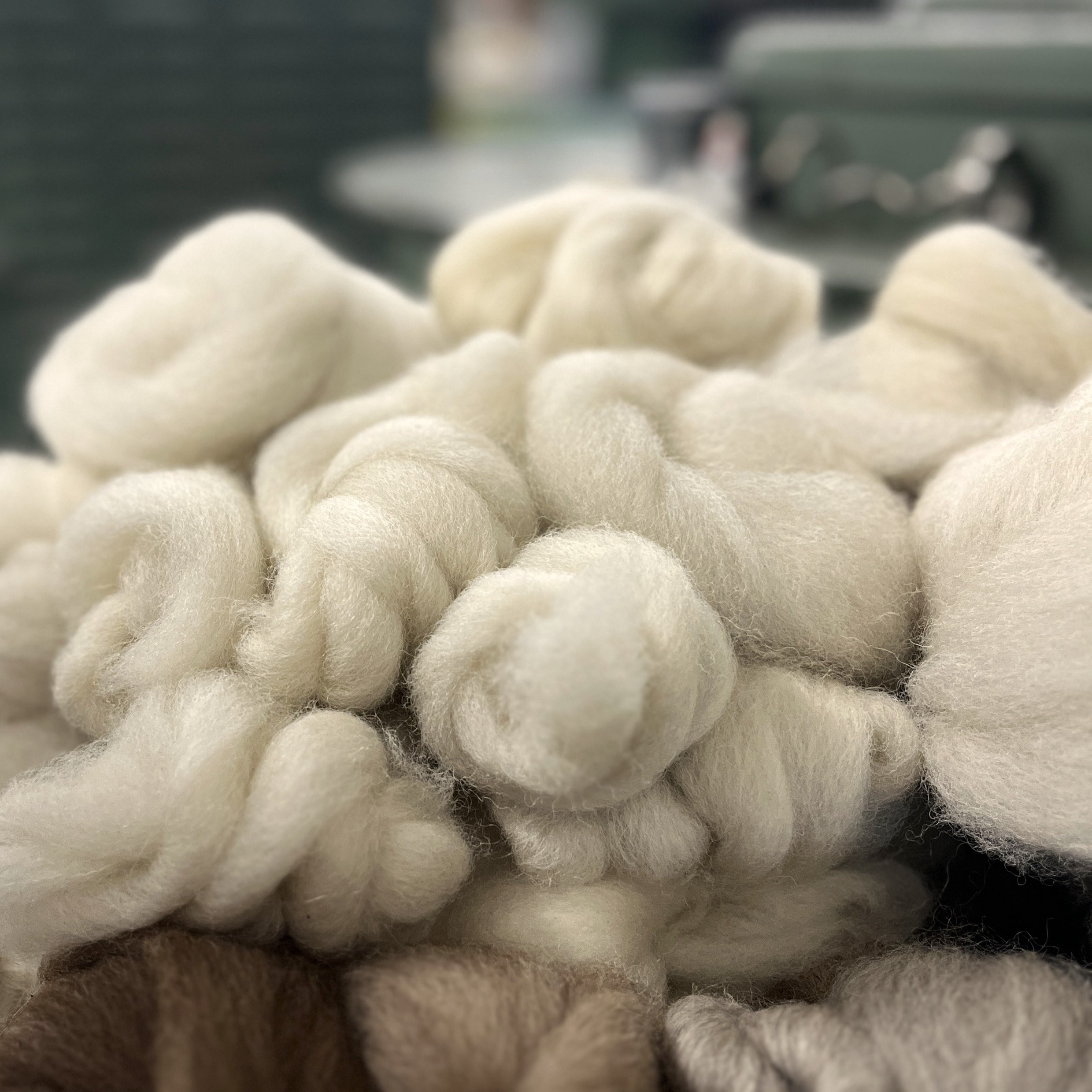 processed wool