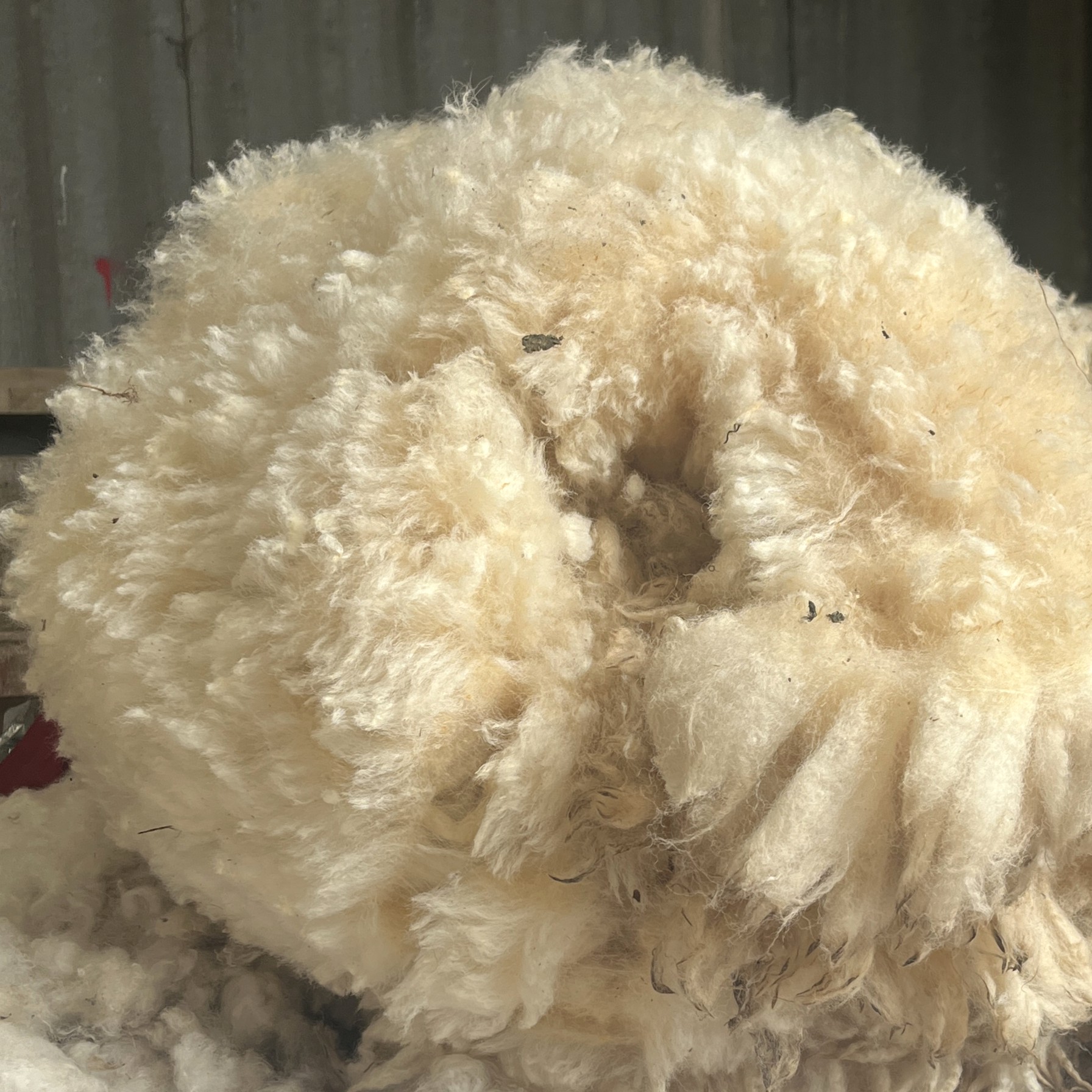 raw fleece